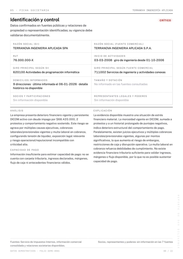 Página 8 del reporte Due Diligence de demostración