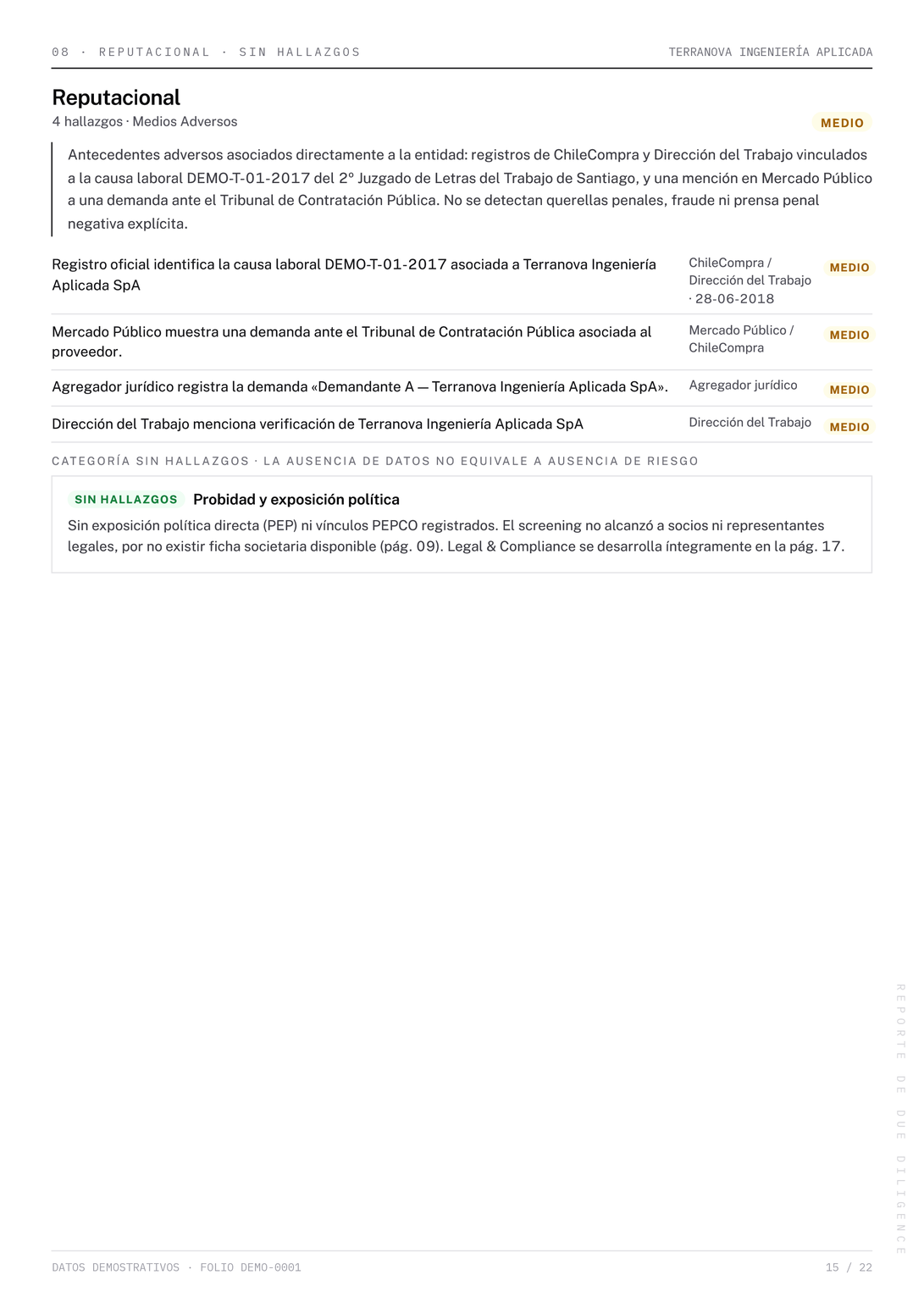 Página 15 del reporte Due Diligence de demostración